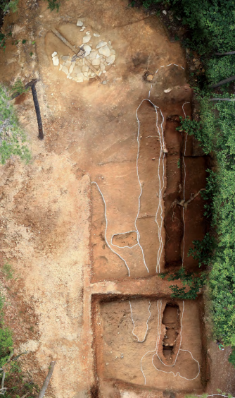 Artist Image