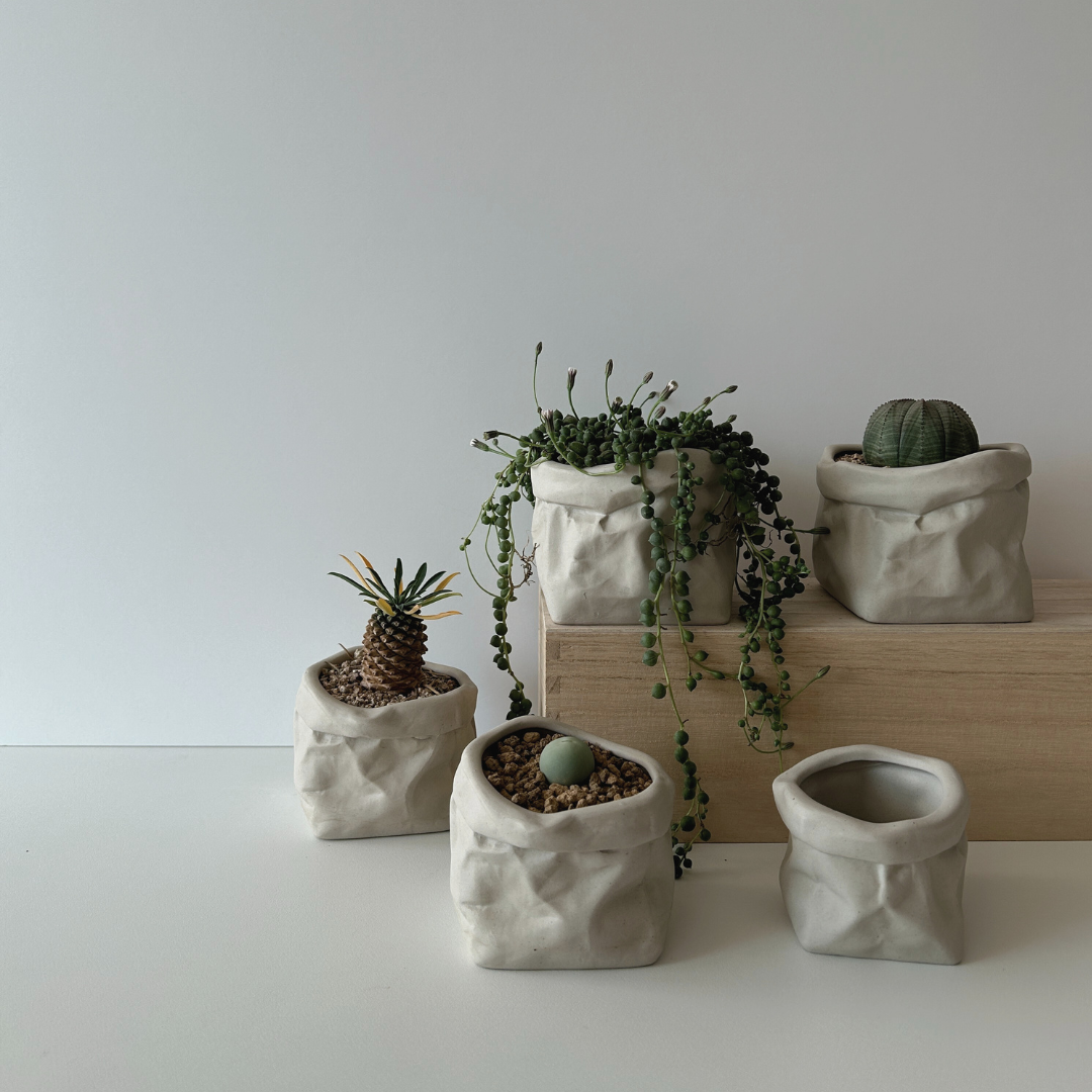 paper pot - Size 4 - Image 3